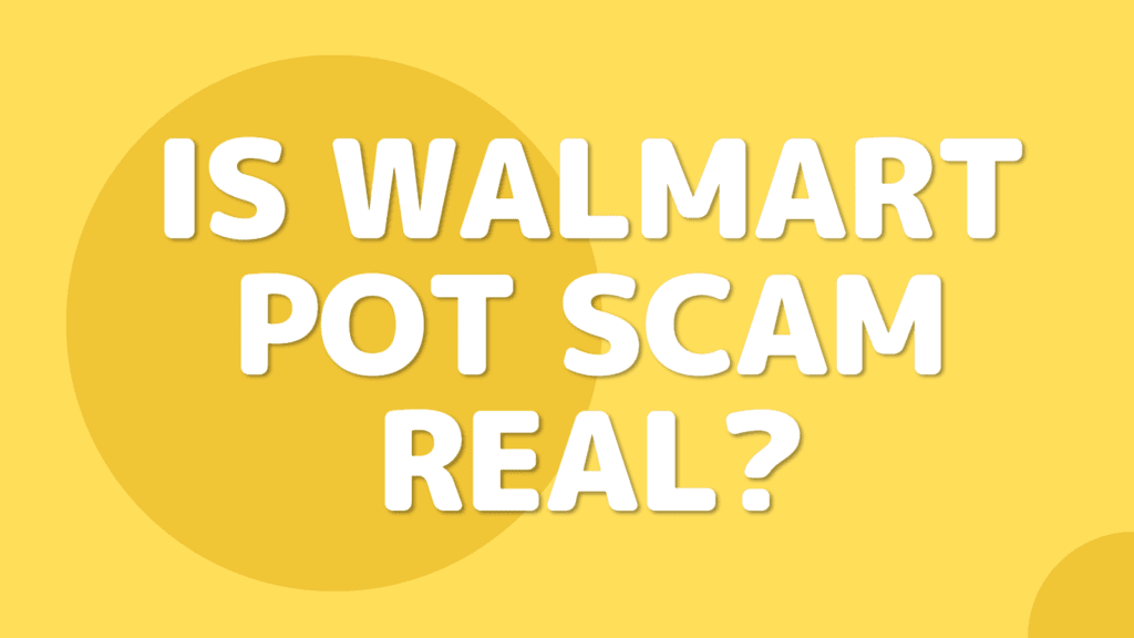 Is Walmart Pot Scam Real?